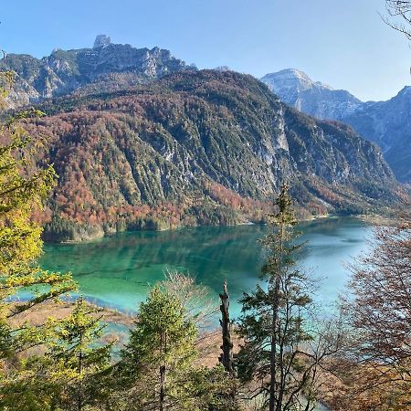 Bergglueck - Gemuetliches Appartement Am Traunsee Altmünster Esterno foto