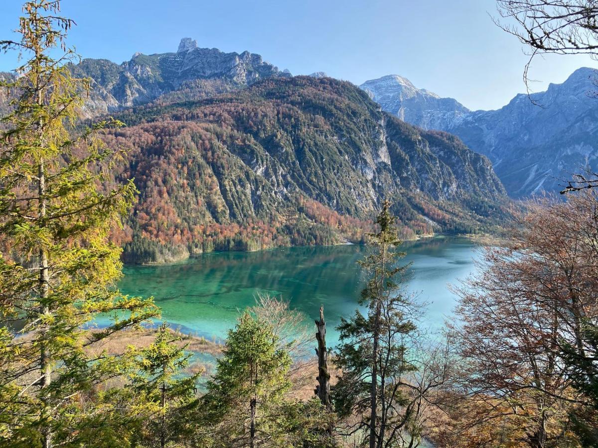 Bergglueck - Gemuetliches Appartement Am Traunsee Altmünster Esterno foto