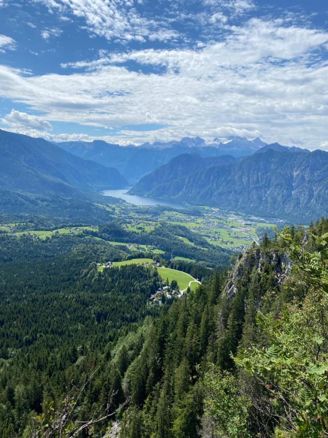 Bergglueck - Gemuetliches Appartement Am Traunsee Altmünster Esterno foto